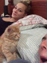 Cats sleep very clingy.😂😂😂#pet #cat #catsoftiktok #funnymoments #funn...