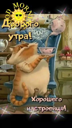 Доброе утро. #доброеутро #позитивчикдлянастроения #прекрасногонастрое...