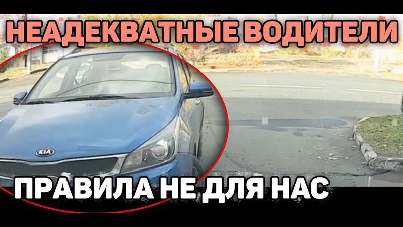 Быдло и Учителя на Дороге|Неадекваты за Рулём#2