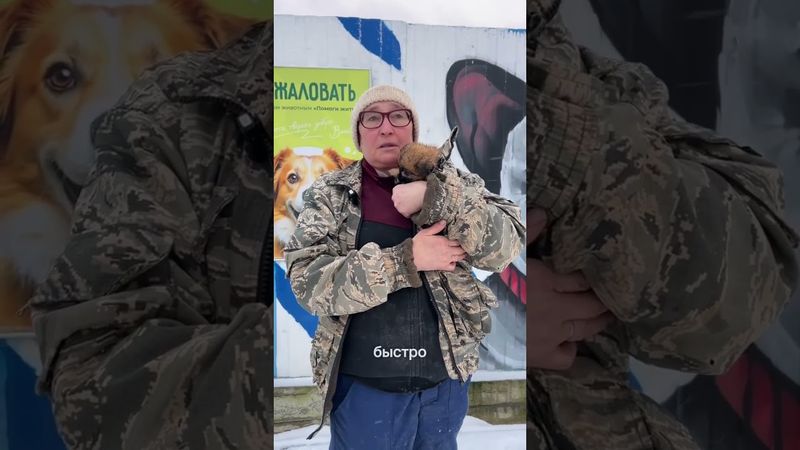 ОЧЕНЬ НУЖНА ВАША ПОДДЕРЖКА 🆘 #помощьбездомным