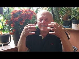 4.07.25. в экстремальные холода мне не стыдно показать свои томаты и сад на регенеративном З.