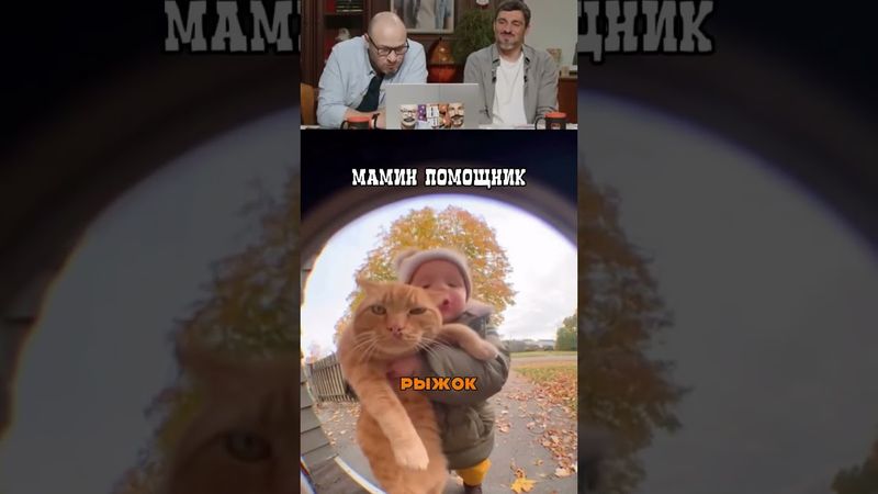 Когда родители сказали погулять с котом!