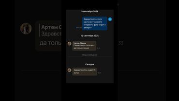 Необычные переписки на Авито