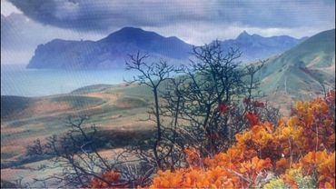 Вечерний стрим:)