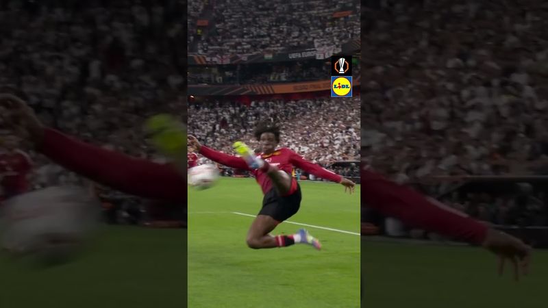 The moments from a memorable #UELfinal 💫 #UELFreshPicks | @lidlgb