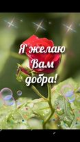 #доброеутро #добрыйдень #новыйгод2022 #пожелания #хорошегонастроения