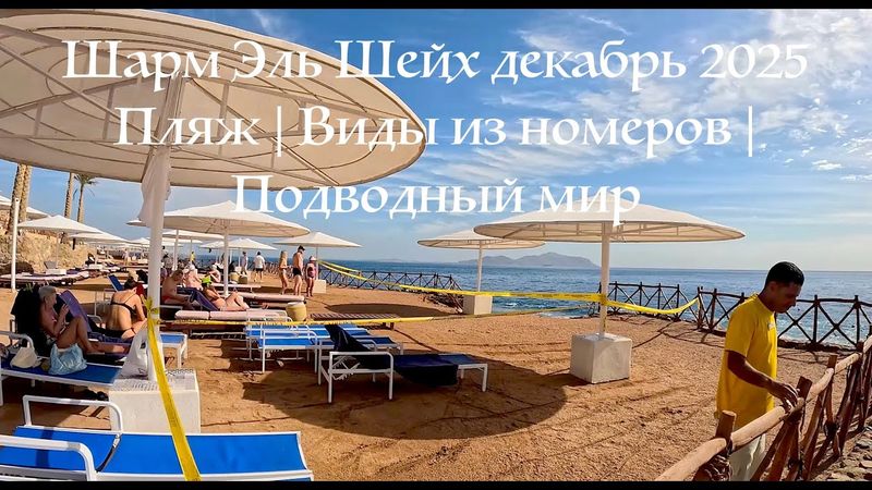 ЕГИПЕТ Шарм Эль Шейх декабрь пляж, виды из дорогих номеров, подводный мир, ОГРОМНАЯ мурена, кораллы