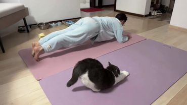 When your CAT copies your every move 😂