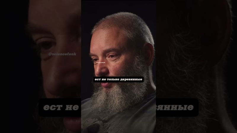 Михаил Вишневский. Гриб-веном (домовой).