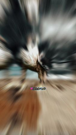 #CapCut #الهدف_مرصود #ياهلا_بالزين_ياكل_المراحب #شيلات_حماسيه #الشاهي...