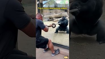 #illustration #tattoo #art #pov #procreate #drawing #whydidntmyexcomeback#digitalart