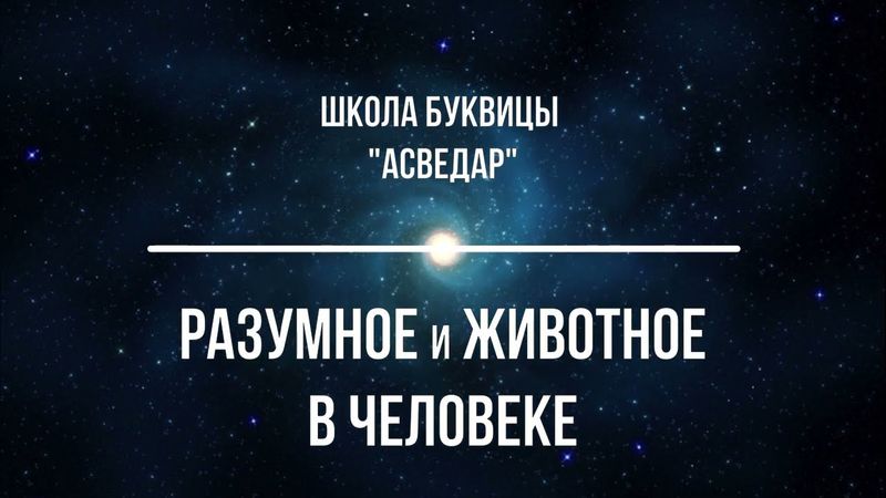 Разумное и животное в человеке. Школа Буквицы "АСВЕДАР"