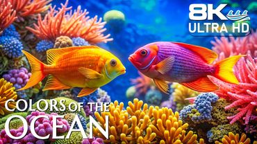 Life Beneath 8K – 500+ Ocean Creatures with Relaxing Music & Nature Sounds
