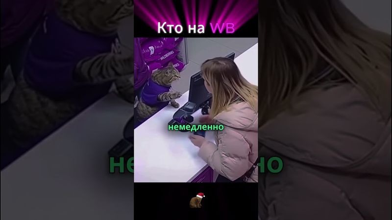 Кот на Админе BW #maddyson #mad #мэддисон #мэд #deadp47 #стрим #alinarin #алинарин #бэбэй