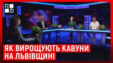 Як вирощують кавуни на Львівщині