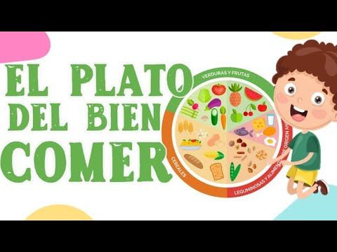 El plato del bien comer | Vida saludable