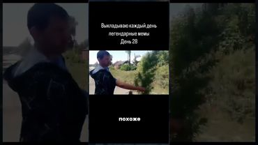 Как вам ёлка?😂🤣😂🤣#юмор #прикол #рекомендации #шортс