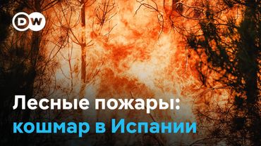 Сезон пожаров в Европе: поджоги и погода уничтожили рекордные территории