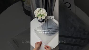 19 октября 2024 г.