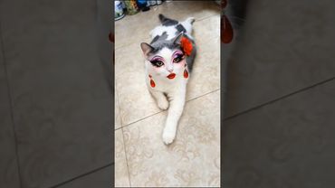 Istri oyen  😻😻