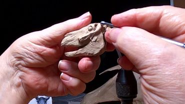 A BURR ON THE SADDLE BLANKET   Fleshing in the Horse's Head Today