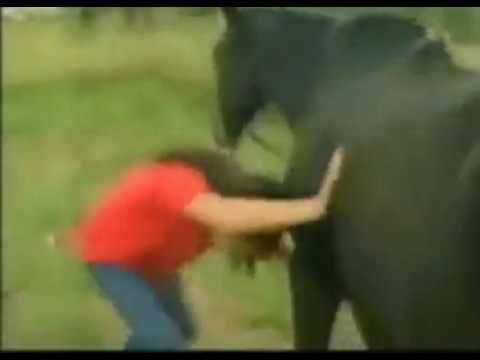 Шок!!! Лошадь насрала на женщину огромным говном. Смотреть всем!!!!