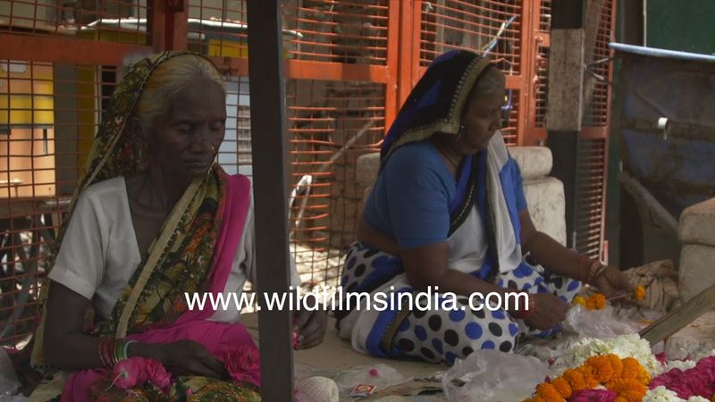 Two old women selling garland and flower with happiness New Delhi