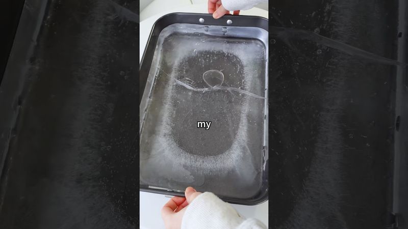 Let’s make fried yogurt on a block of ice 🧊🍧