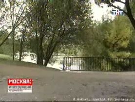 А.Пушной в программе Москва. Инструкция по применению.