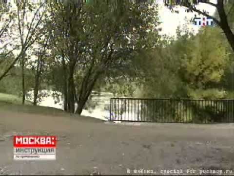 А.Пушной в программе Москва. Инструкция по применению.