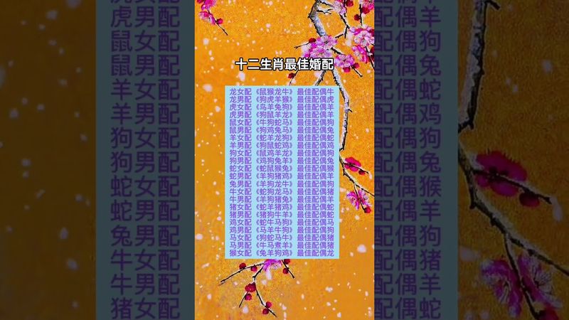十二生肖最佳婚配 ！#生肖  #運勢  #玄學 #風水