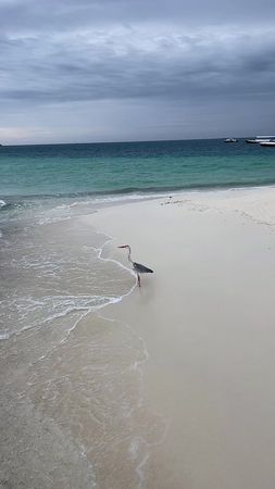 TikTok video #7035548077180095745