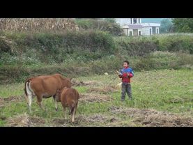 #独立纪录片#豆瓣8 7分纪录片--《村小的孩子》（蒋能杰导演纪录片作品）