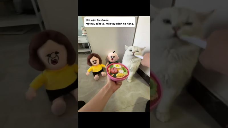 Mới về làm dâu!!! #dochoidocla