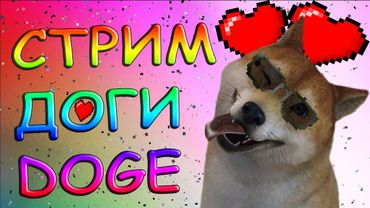 СОБАКА СТРИМ РОЗЫГРЫШ КЛЮЧЕЙ НА Playerunknown's battlegrounds | СТРИМ CS:GO ОТ ДОГИ | ПУТЬ К ГЛОБАЛУ