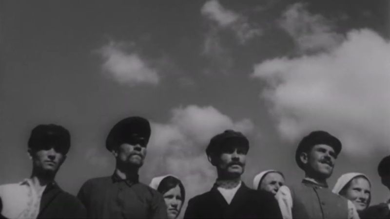 Українське Поетичне Кіно: Чому Воно Важливе?