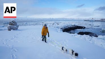 Why does Donald Trump want Greenland?