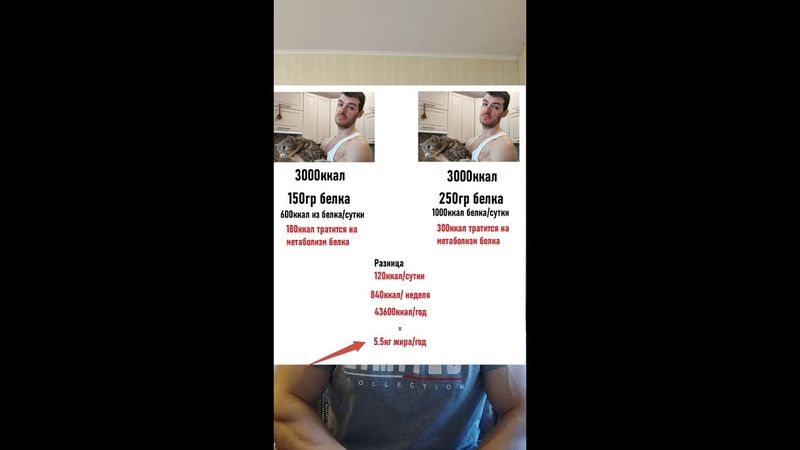 Почему на диете нужно много белка (одна из причин)