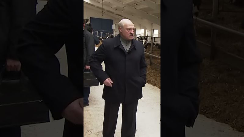 Лукашенко: Ты посмотри на эту скотину! Она еле живая! #shorts