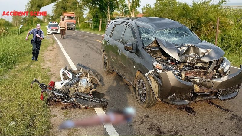 77 Brutal Collisions Caught On Camera 2025 | Invasive Species Accidents | Idiots in Cars