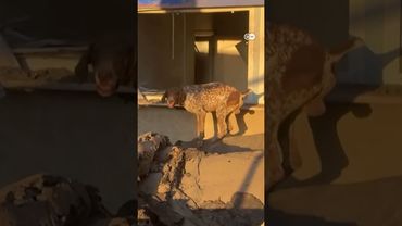 Удар РФ по вокзалу и клинике в Запорожье