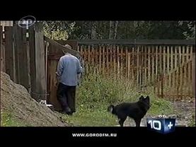 Монетизация льгот