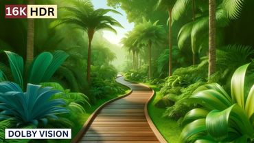 Wonderful 4K HDR 60FPS Dolby Vision - (4K Video) ULTRA HD