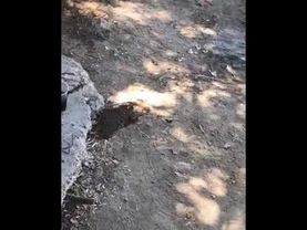 El comedor del soldado mexicano