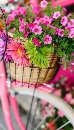 #добрый день#