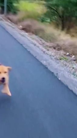 These dreams be feeling real 💀