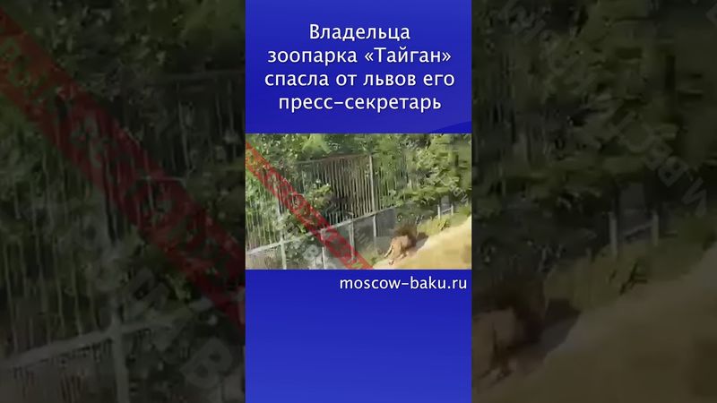 Владельца зоопарка «Тайган» спасла от львов его пресс-секретарь