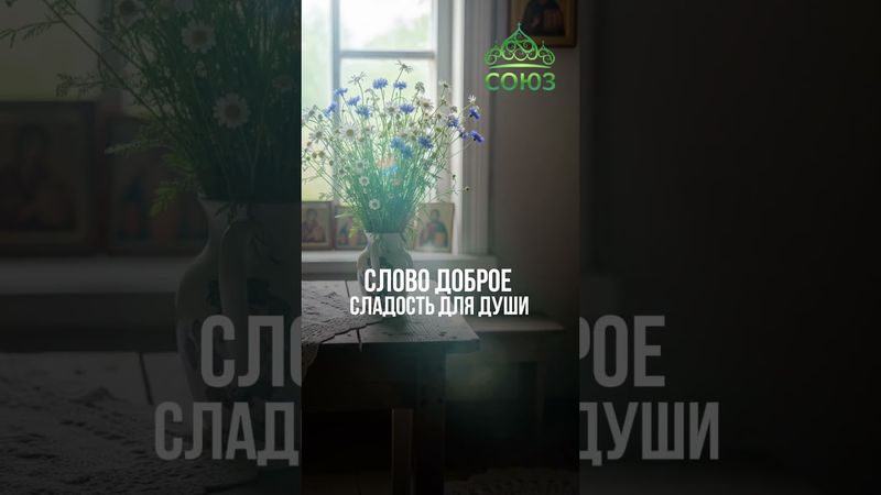 Совет дня: доброе слово творит чудеса