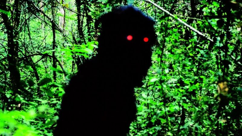 when the director REALLY wants you to pay attention...