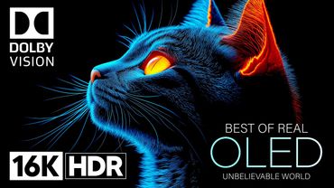 Unbelievable OLED DEMO 16K HDR 120fps Dolby Vision 16K Video ULTRA HD